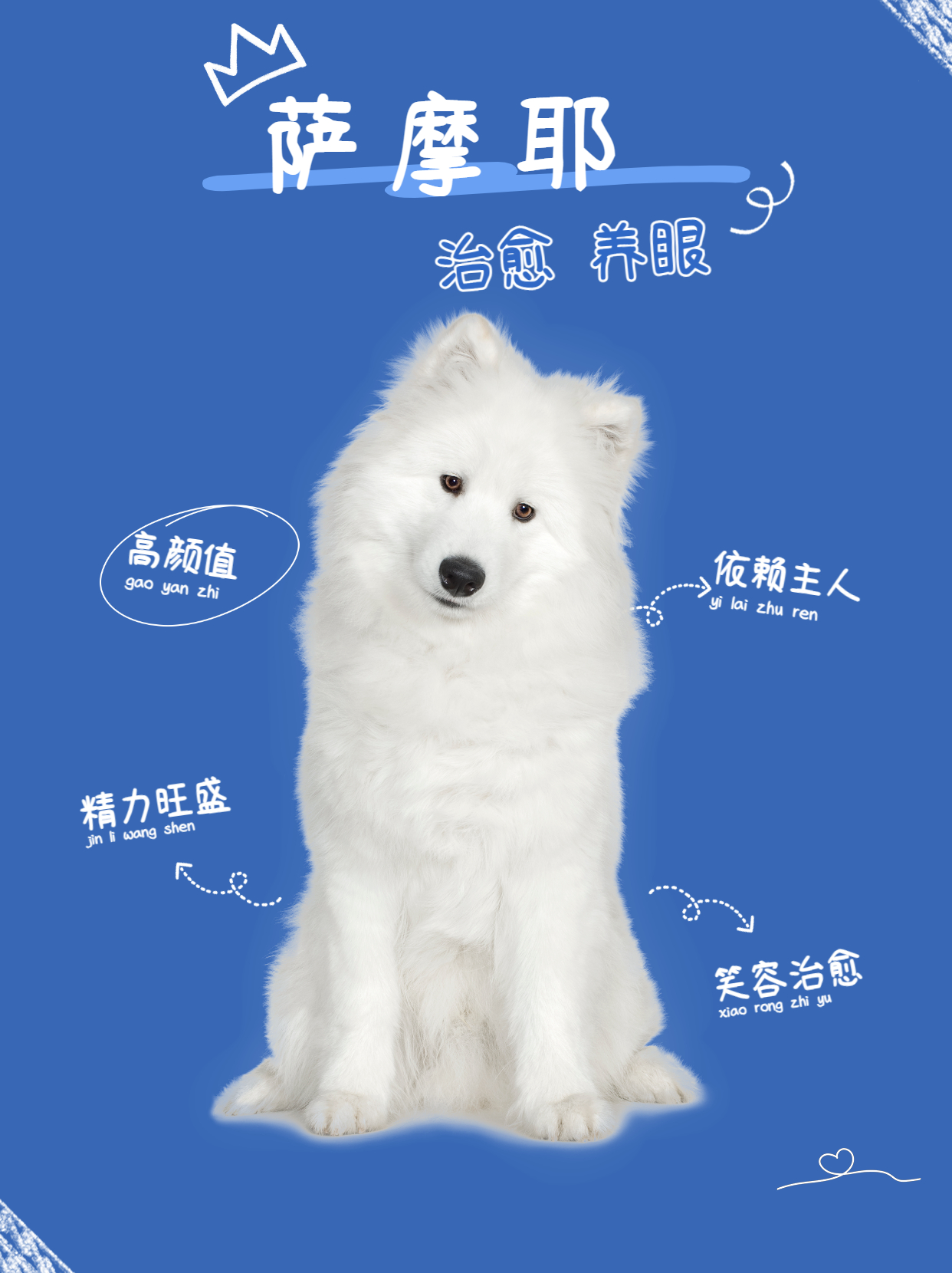 既能护主又忠诚且霸气的大型犬,哪一种大型犬护主可以当伴侣犬