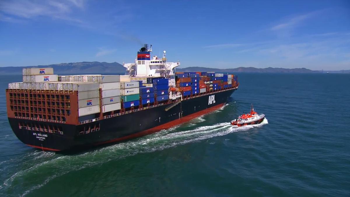 对中国进口大豆普京态度解读,中方专机直飞美国