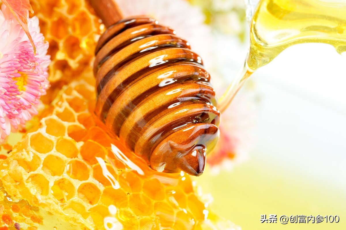 创富创业项目投资多少,创富内参100