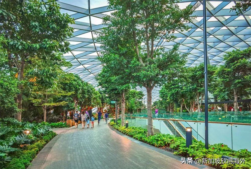 新加坡世界之最,新加坡十五个世界之最