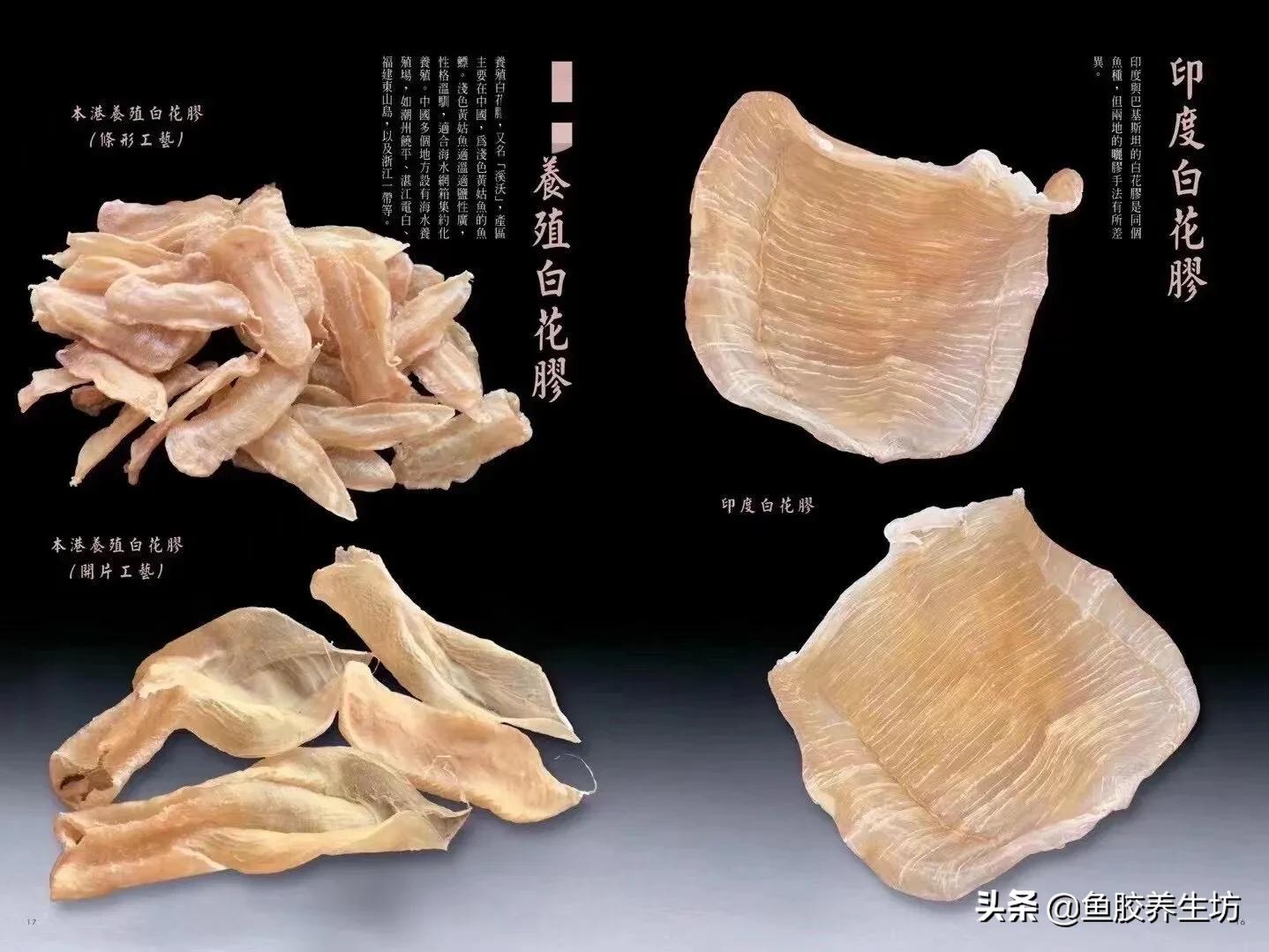 白花胶功效解说图片,养殖白花胶的功效与作用