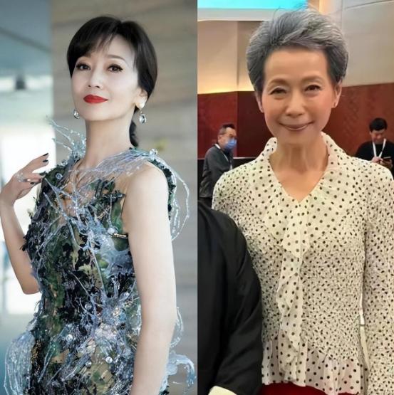 69岁赵雅芝与59岁的叶童庆生,69岁赵雅芝和60岁的叶童同框