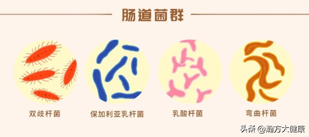 预防肠道疾病的十个方法,肠道受损是什么症状