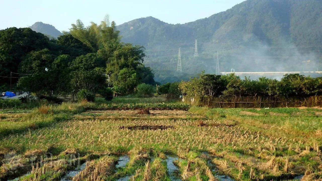 侄儿祭大舅的祭文大全,祭舅父四字文