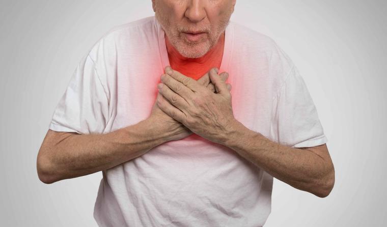 医生提醒禁止食用这四种鱼,会加重身体负担的4种鱼尽量少吃