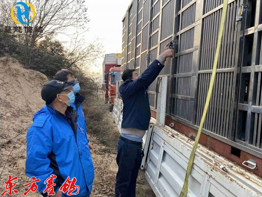 21年惠能秋棚决赛获奖鸽照片,慧能信鸽秋棚直播