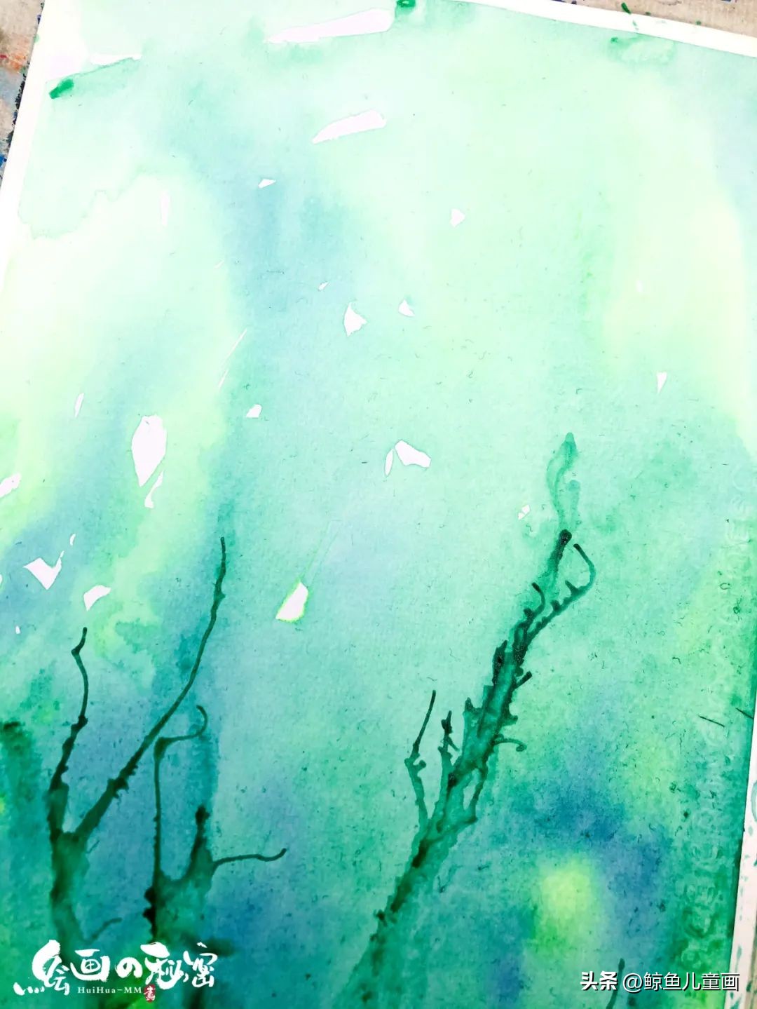 油菜花什么时候开,油菜花怎么拍照好看