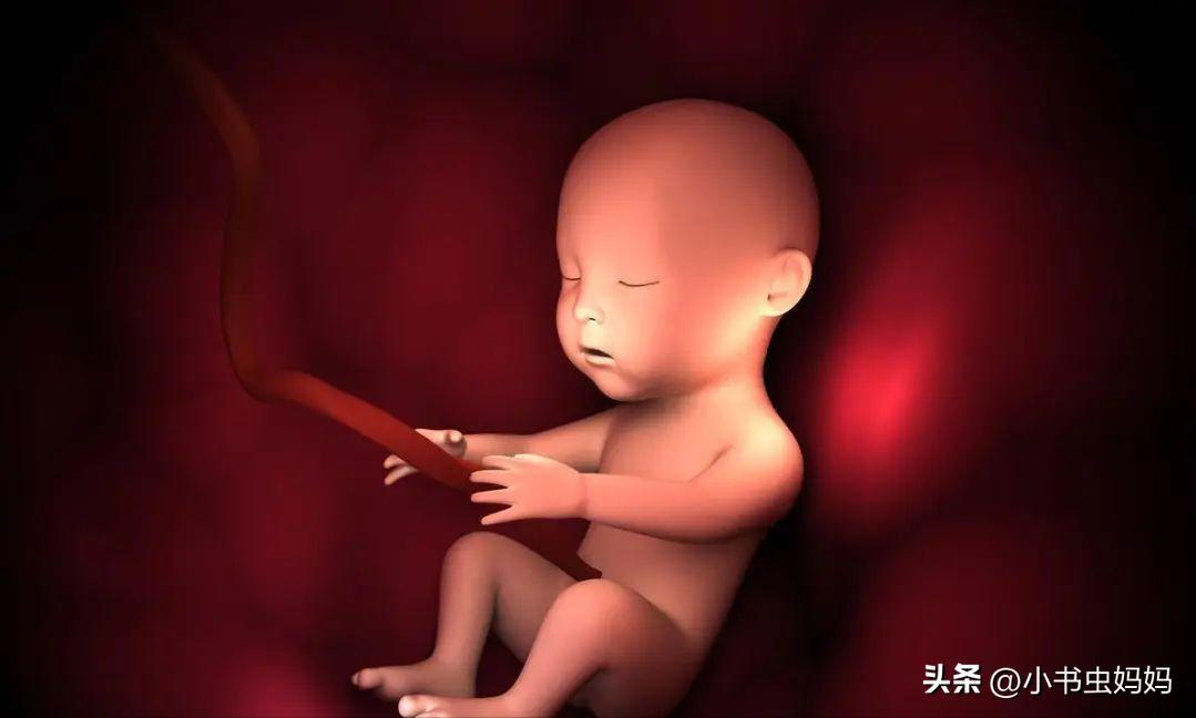 孕6月的胎宝宝会饿吗,孕6月胎宝宝打嗝