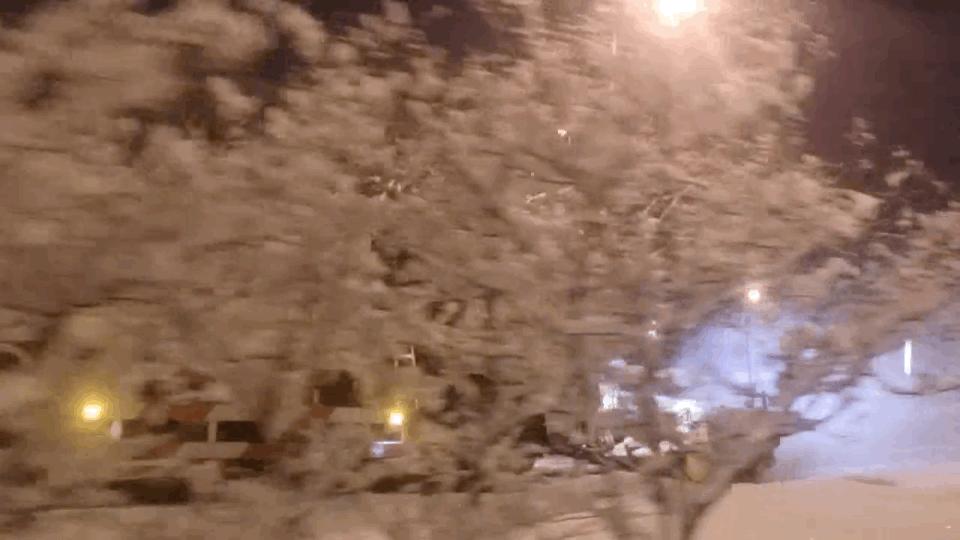 全力以赴做好赛事承办,全力以赴北京冬奥会