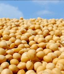 快看！黑龙江各地都被哪些萌货代表了？