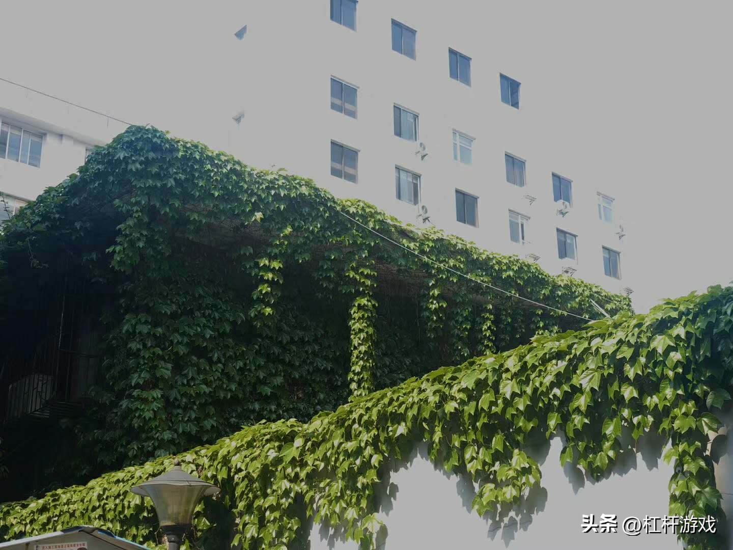 华润置地收购华夏幸福,华润116亿收购谁了