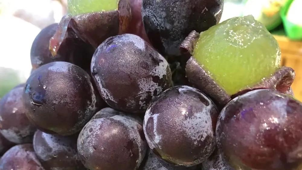 怎么样才能做好一家水果店生意,怎样把水果店的生意做得好呢