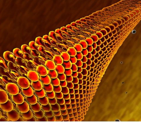 古代网红药食材—红曲,控制血脂也能得心应手?