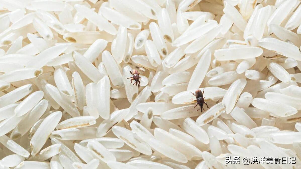 夏天怎么解决大米生虫,夏天大米生虫怎么处理最好