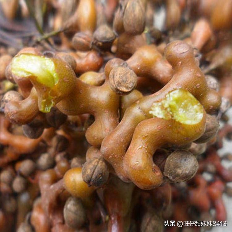 6种正在消失的水果,近年消失的水果