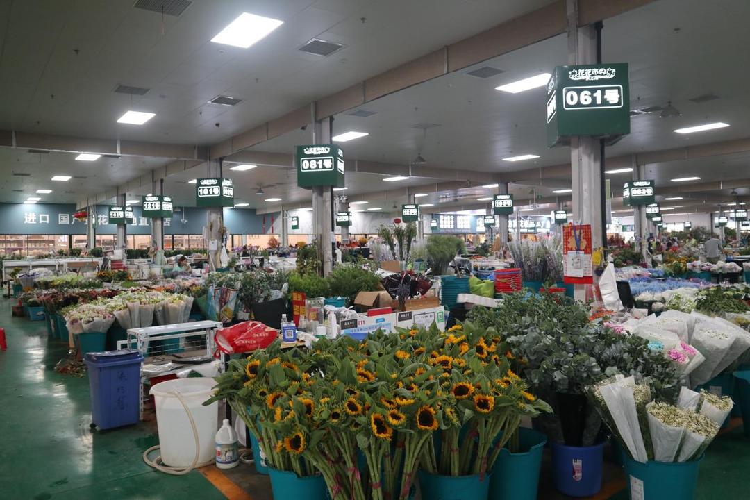 保姆级京圈花市攻略来袭，能解答你关于买花99%的问题