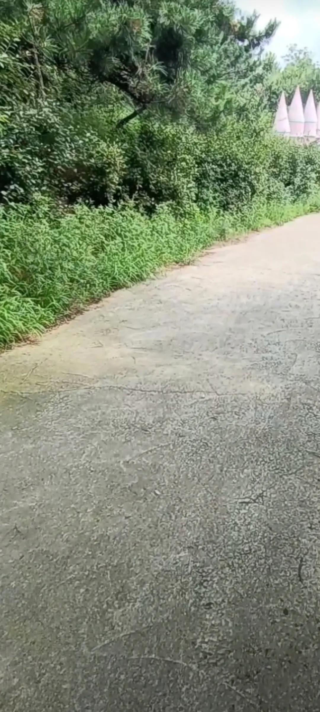 梦幻城堡礼物多少钱,梦幻城堡别墅