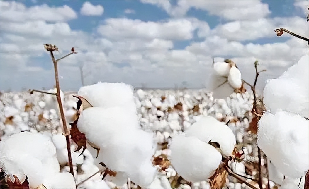 19涓栫邯鍒濊タ娆х殑宸ヤ笟鍙戝睍鎴愬氨,19涓栫邯娆ф床宸ヤ笟鍙戝睍濡備綍