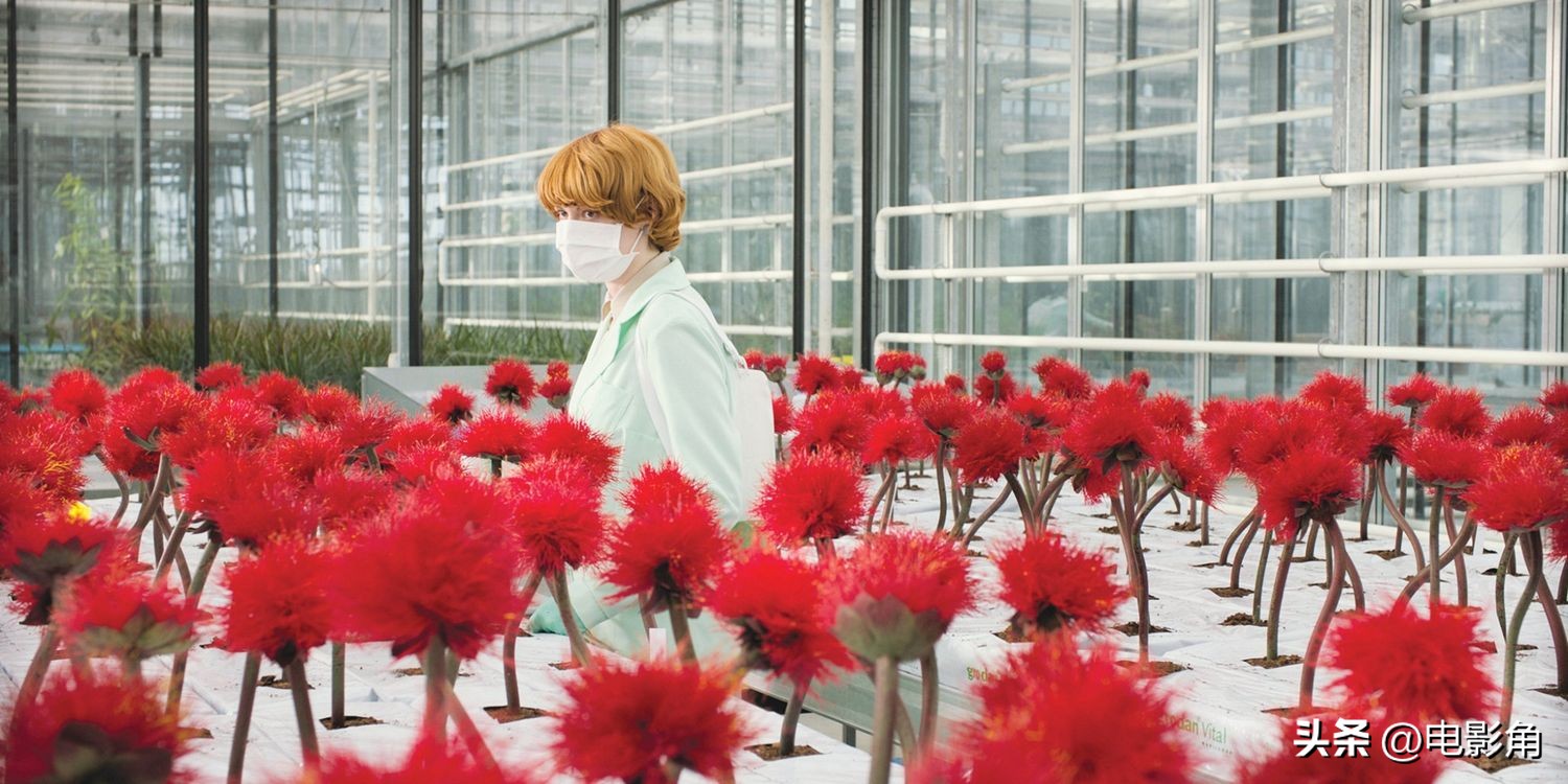 恐怖怪兽电影大全免费观看,恐怖植物电影