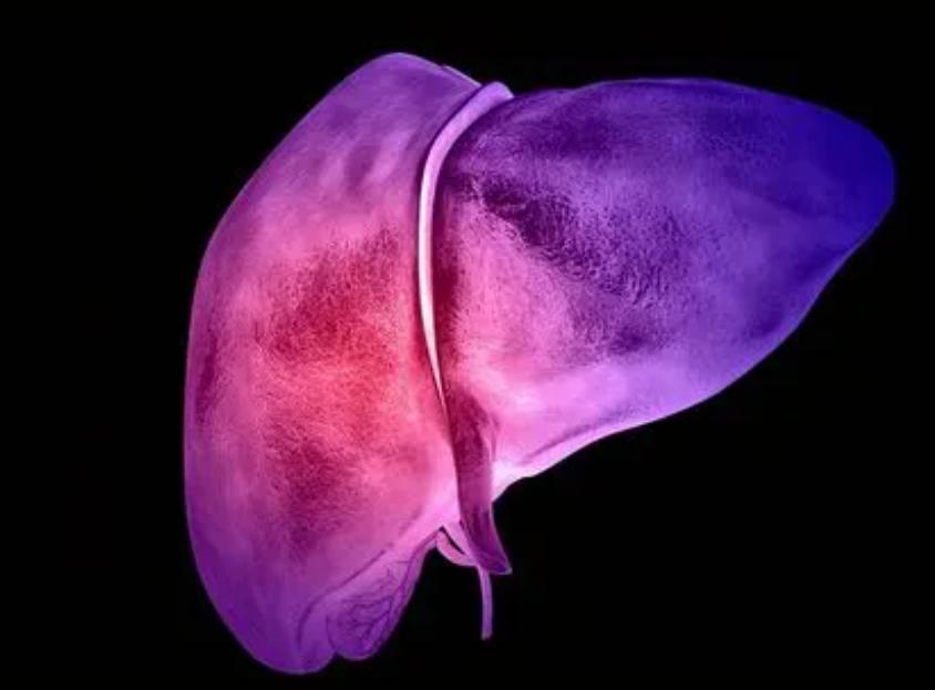 老中医治肝癌的3大征兆,中医治疗肝癌的最新方法