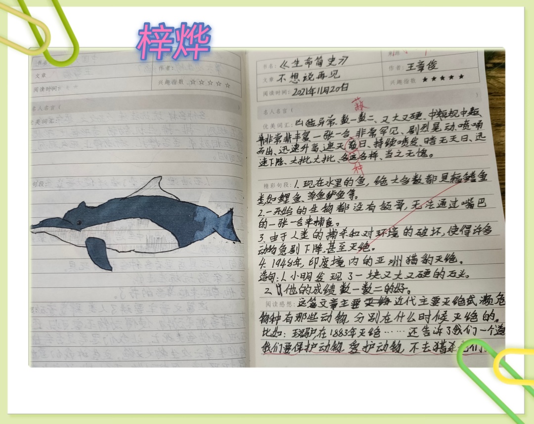 小学作文爸爸对我好,小学优秀作文摘抄500字大全