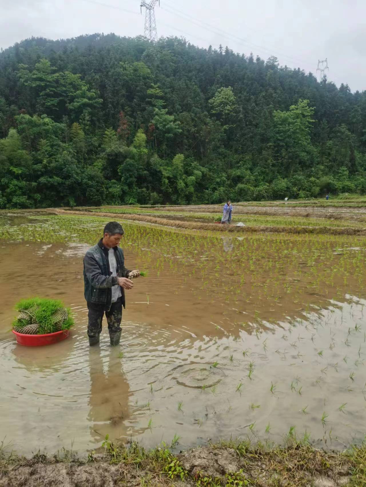 在农村务农一亩地能挣多少钱,种地一亩地能赚500块钱吗