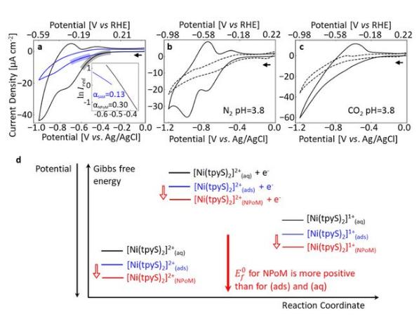介孔二氧化钛光催化机理,基于噬菌体的纳米生物传感器