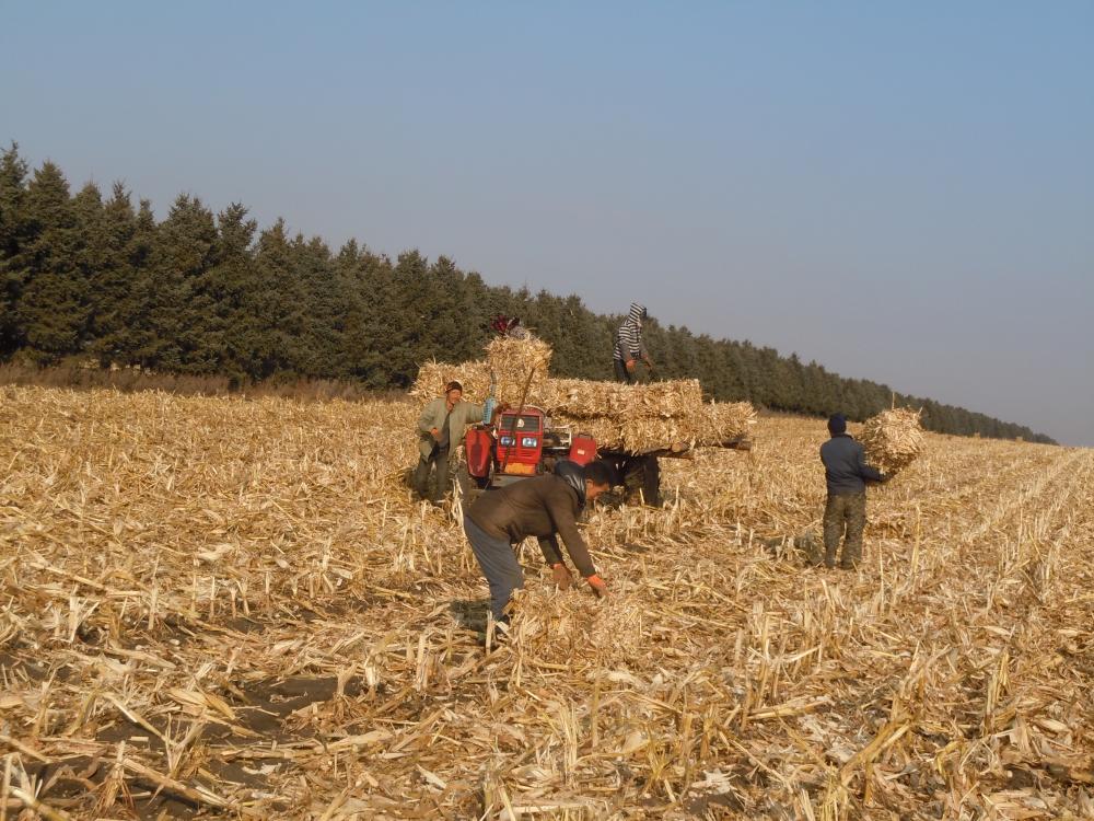 秸秆打包10元一亩,秸秆粉碎打包一捆多少斤