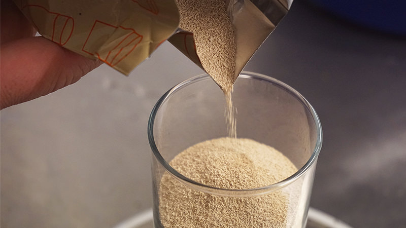 起泡酒怎么酿造,起泡酒用什么酵母