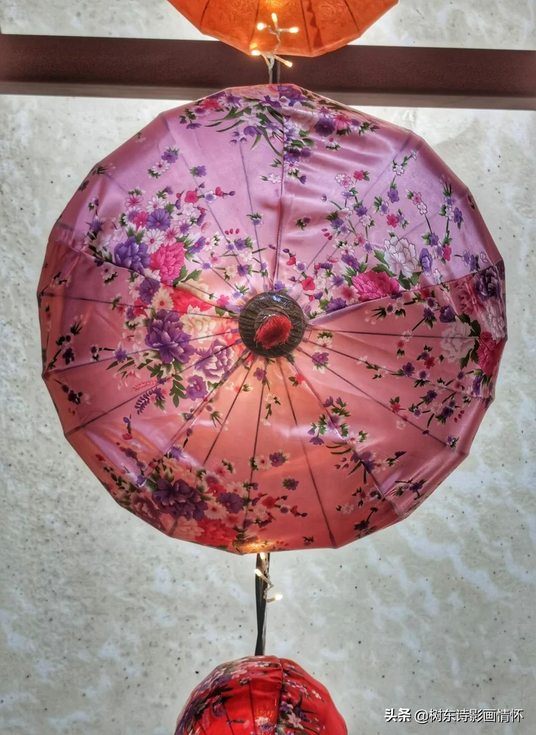 三亚红树林三亚特色,感受春天的气息和享受春天的美景