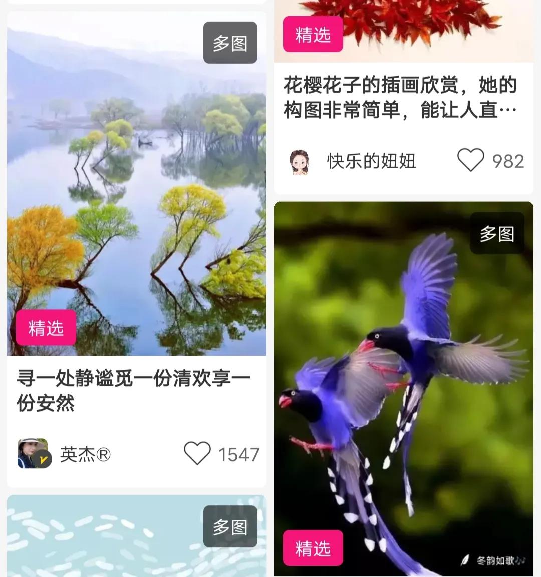 5个超好用的写作工具，你值得拥有