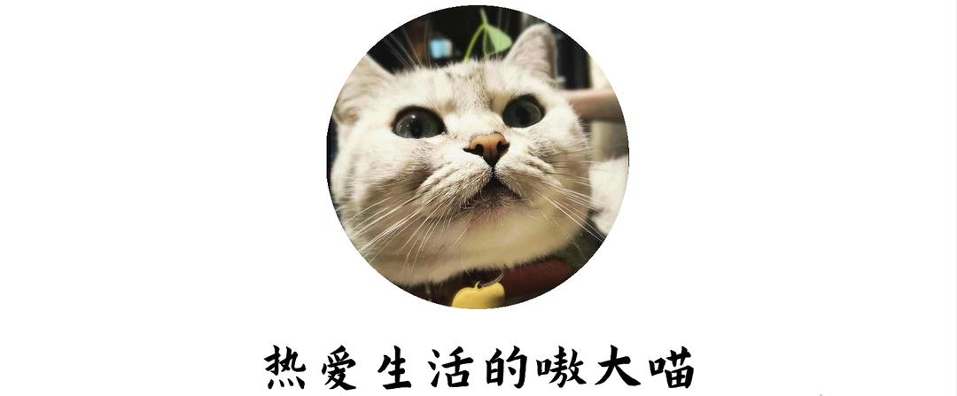 每天跑步机跑步有必要戴护膝吗,跑步机带护膝的好还是不带好