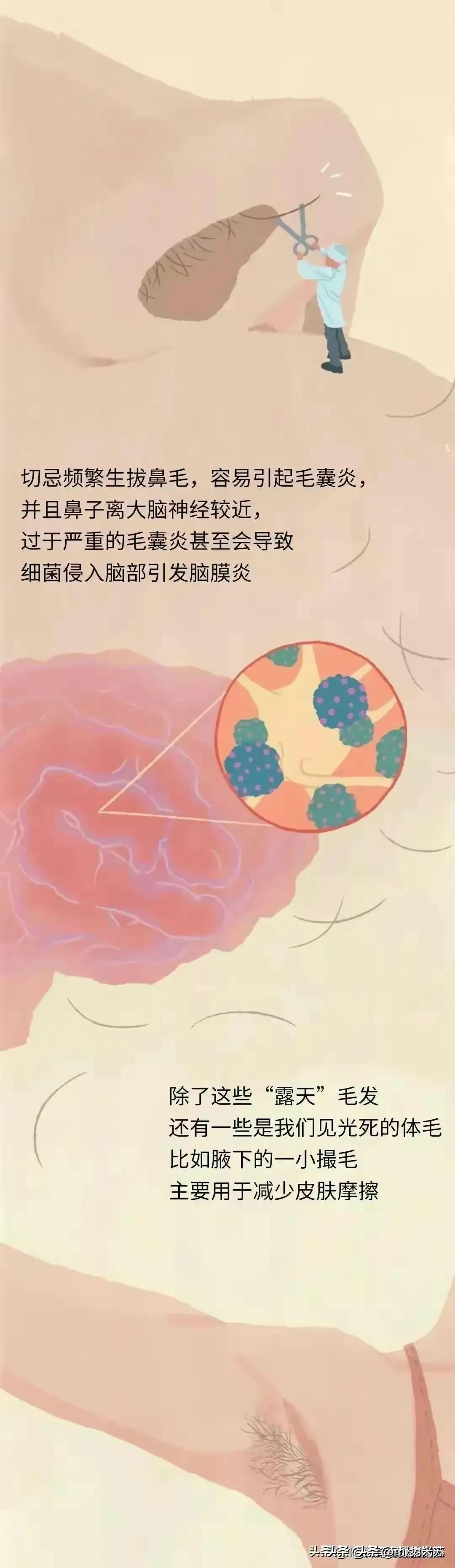 人类为何没有浓密的体毛,人类的体毛作用