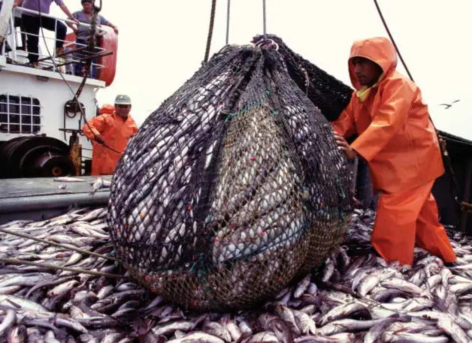 世界旱极是指哪里的,世界四十年不下雨的地方