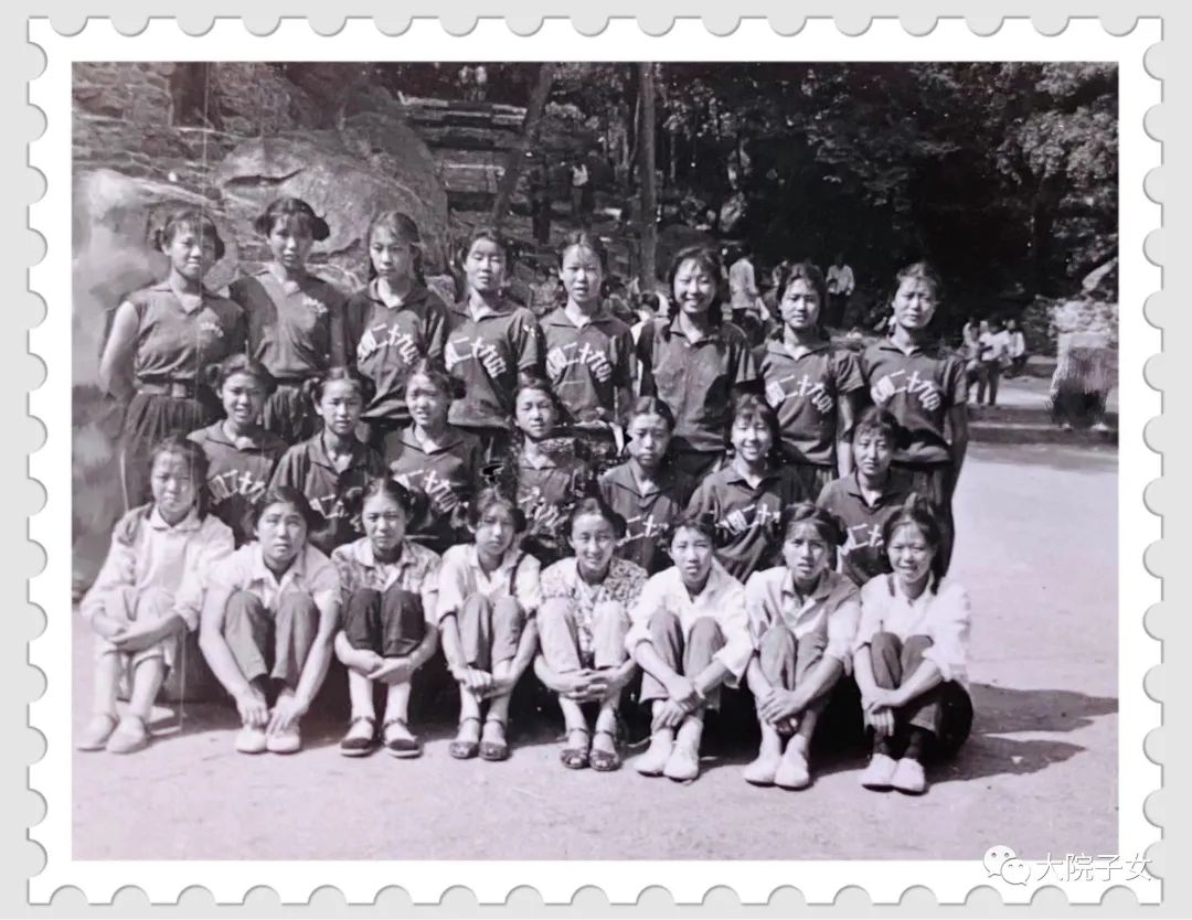 贺新萍,贺新萍排球运动员