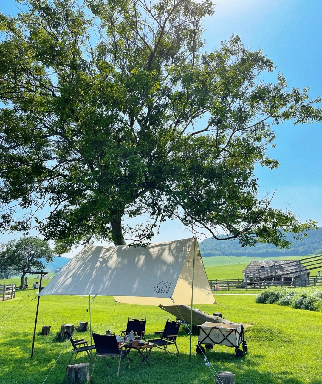 涓夊鐗у満娓歌鎰熷彈,娓哥帺涓夊鐗у満鎰熷彈