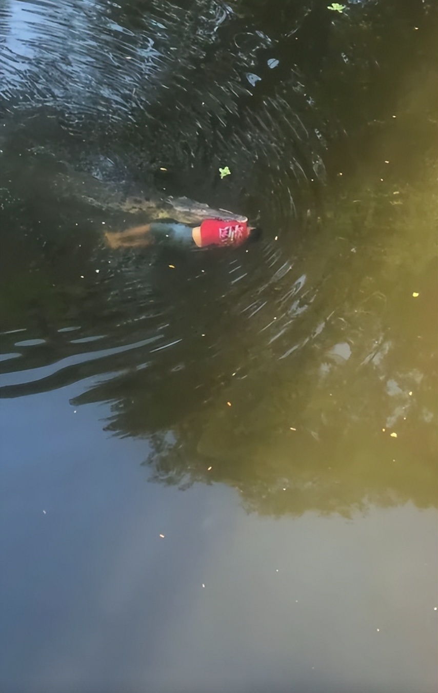 29岁足球运动员被鳄鱼咬死,被鳄鱼咬死的足球运动员