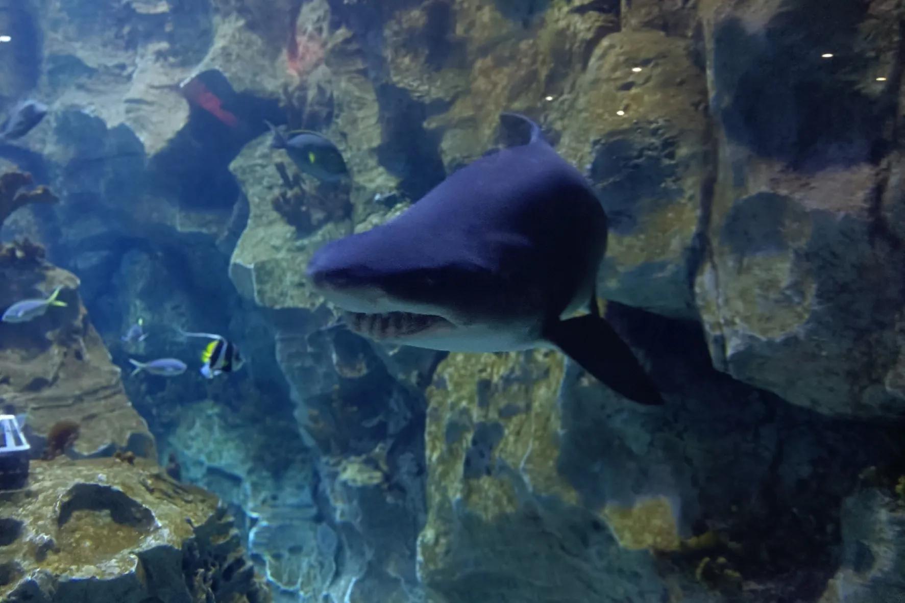 老婆58岁，还要做医美手术，得知其中真相后，我哭了。