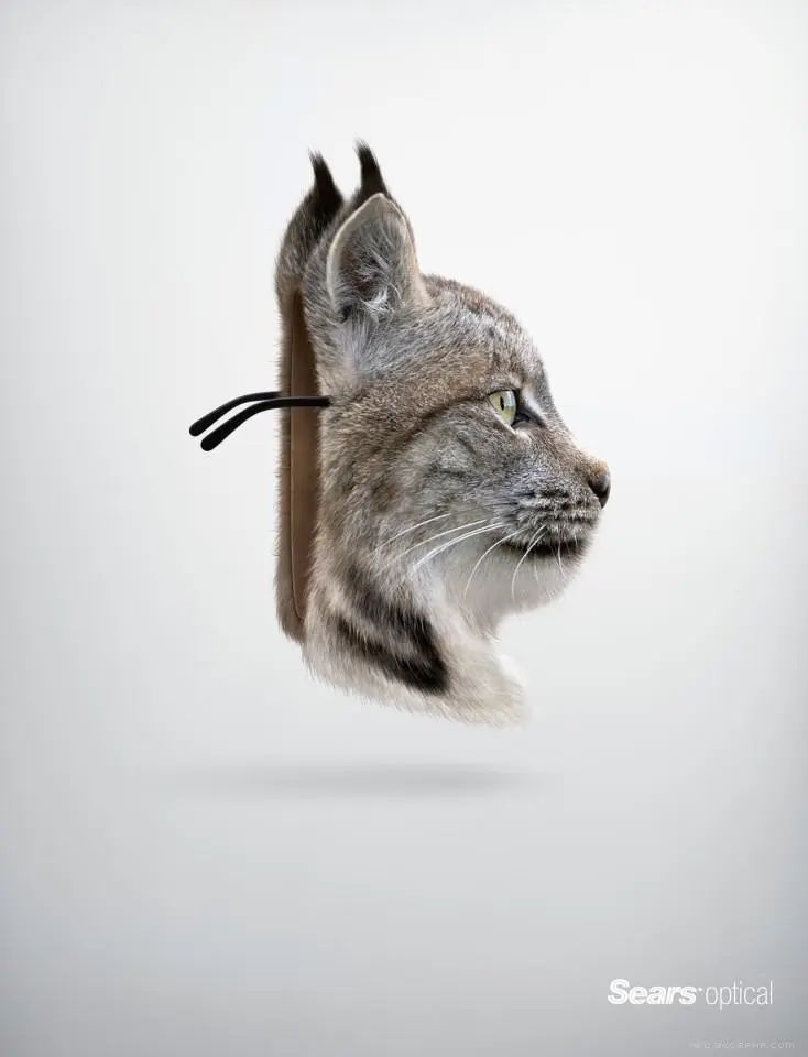 普通眼镜怎么拍广告才好看,有逼格的眼镜广告