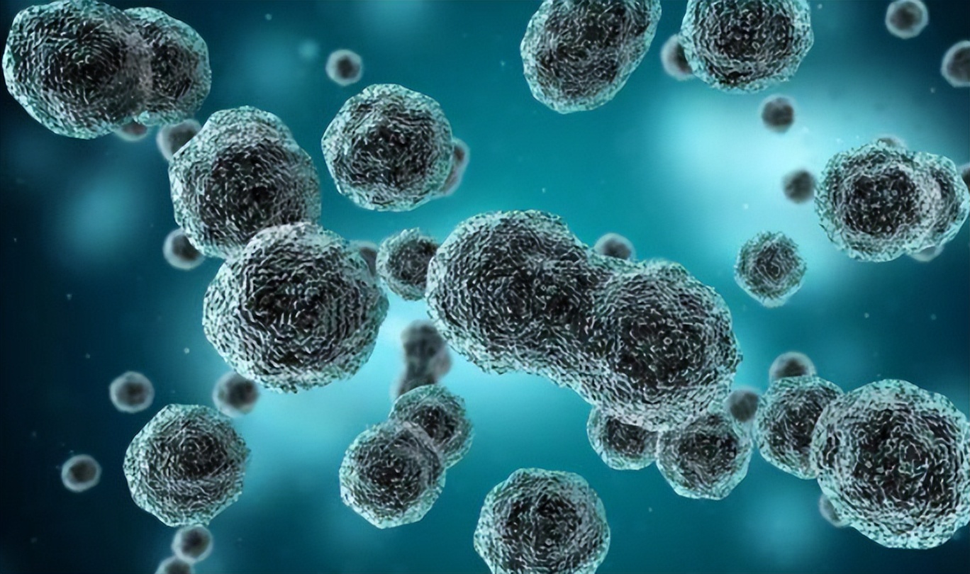 夫妻性传播疾病有哪些,得了性传播有哪些症状