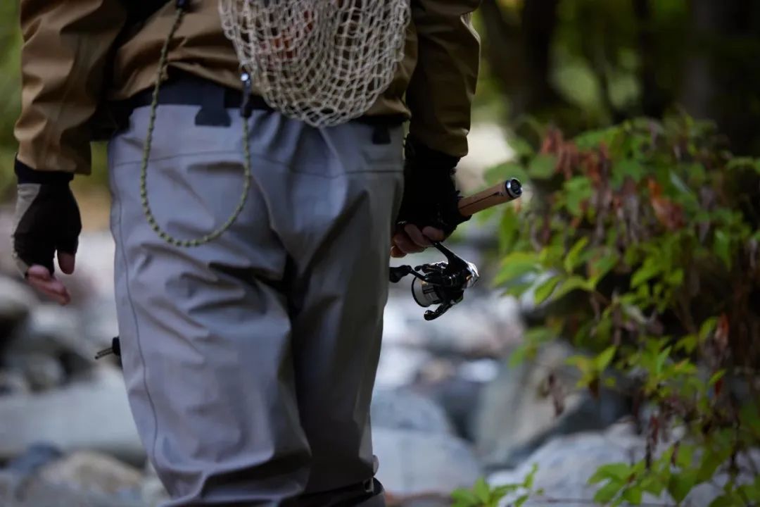 新vantage发布会,新vantage发动机