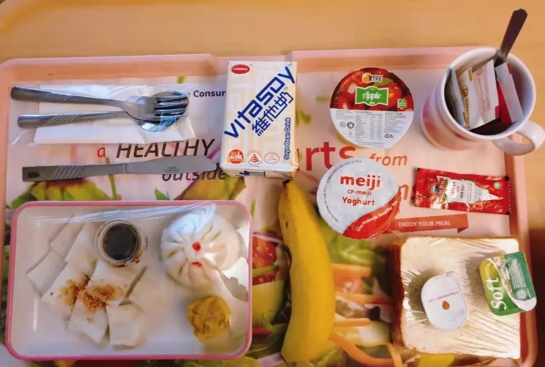 国外生娃真实经历,在新加坡生孩子有前途吗