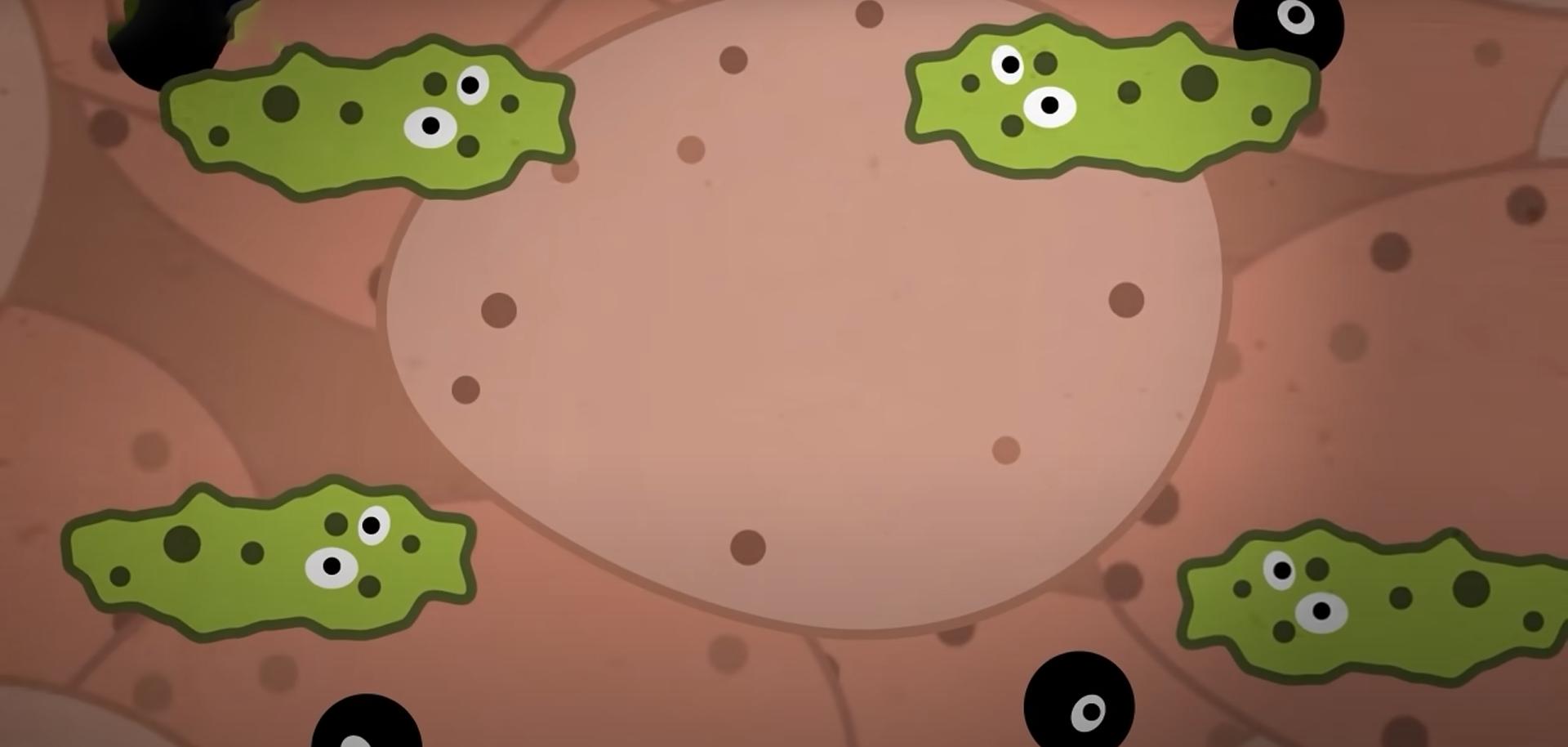 为什么人死和动物死味道不一样,为什么人的尸体比其它动物臭