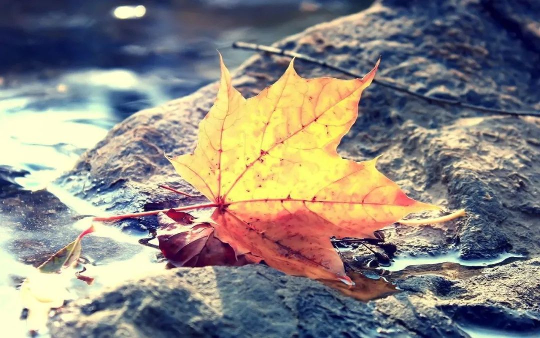 世界读书日可以珍藏一生的书单,423世界读书日推荐书单