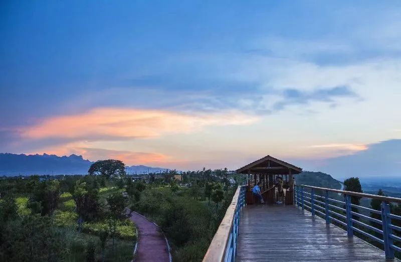 华山附近免费游玩,潼关有到华山的一日游吗