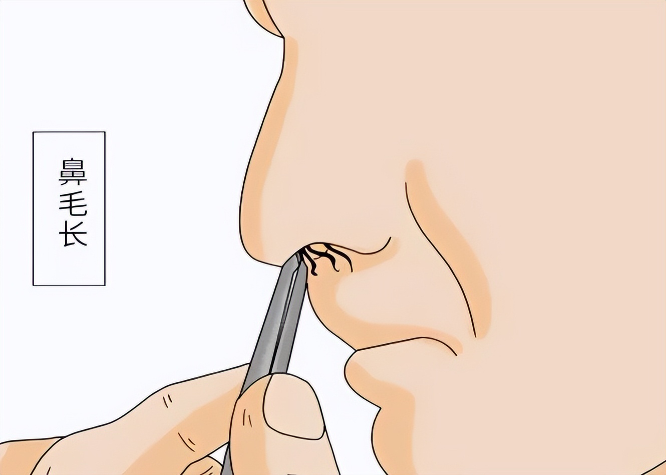 鼻毛老是长出来意味着什么,鼻毛太长经常窜出来是什么原因