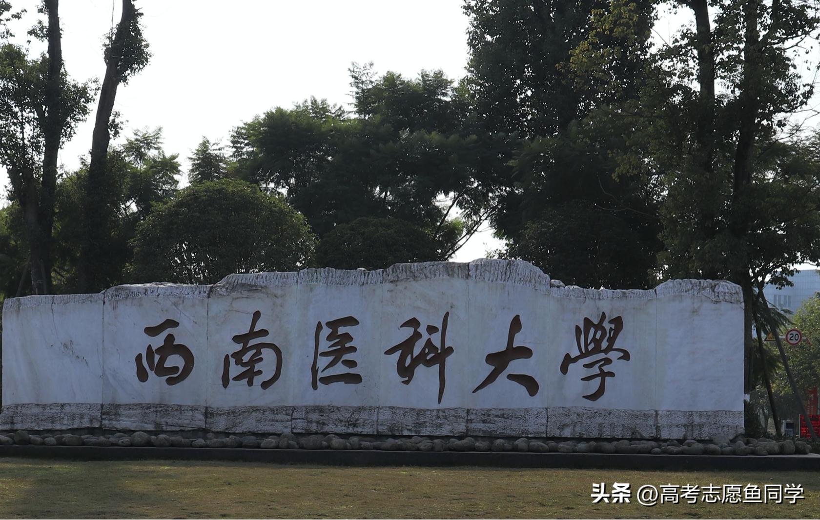 想学医中药的有什么大专院校,学临床医学哪些985大学可以推荐