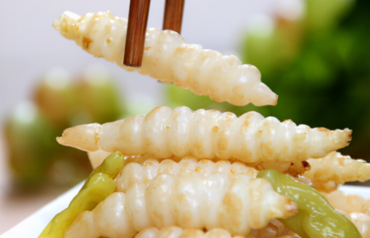 地蚕虫的学名,地蚕子学名叫什么