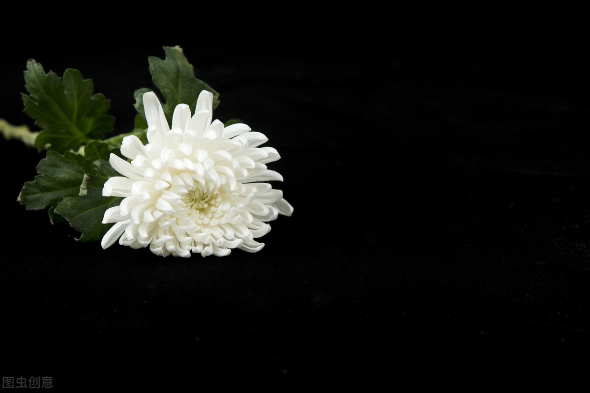 痛惜！叶茂中54岁早逝：最伤亲人的事，就是你拿钱换命