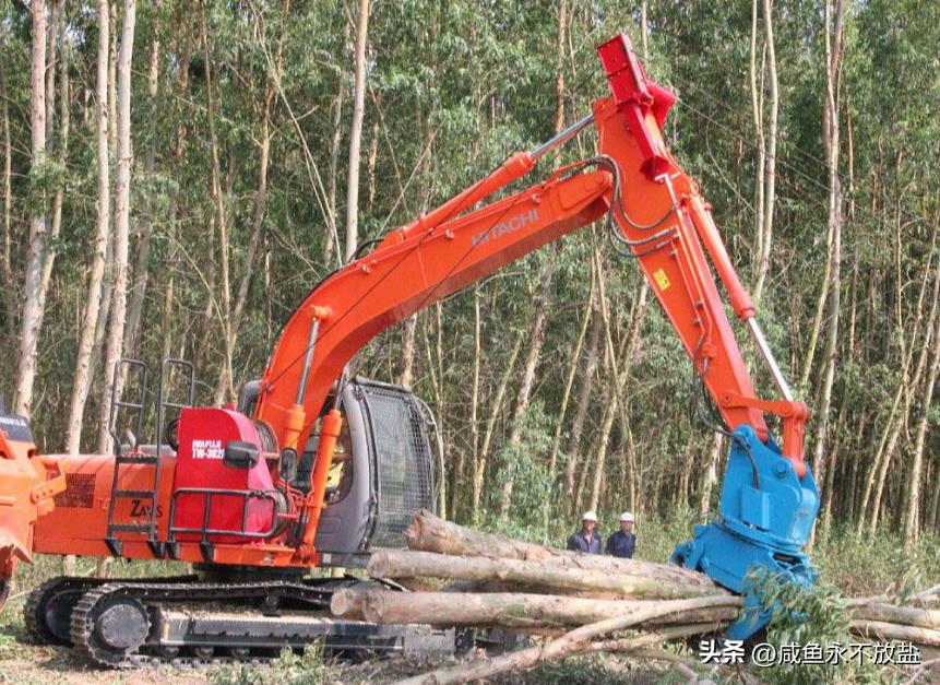 从林业运营中起重机的技术探索，分析如何提升其砍伐、剥皮等性能